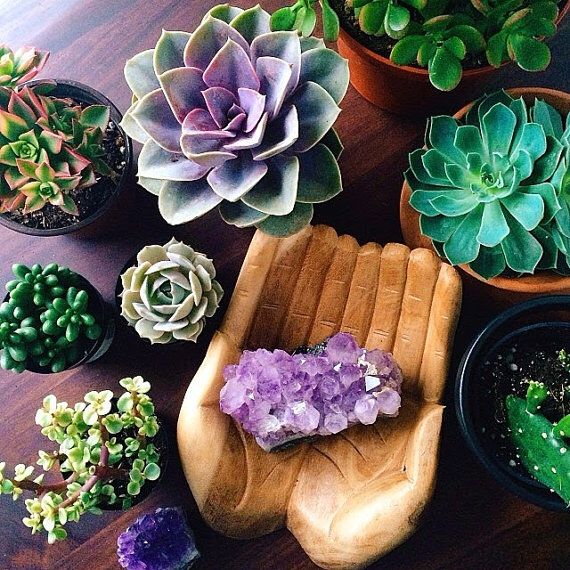 #Crystals for your special space

#Amethyst - relaxing &amp; calming but spiritually energising

Citrine - encourages fun, happiness &amp; joy

Peridot - clears emotional blockages, clears areas of bad energy 

#Quartz - brings good energy to your space &amp; creates a healing environment