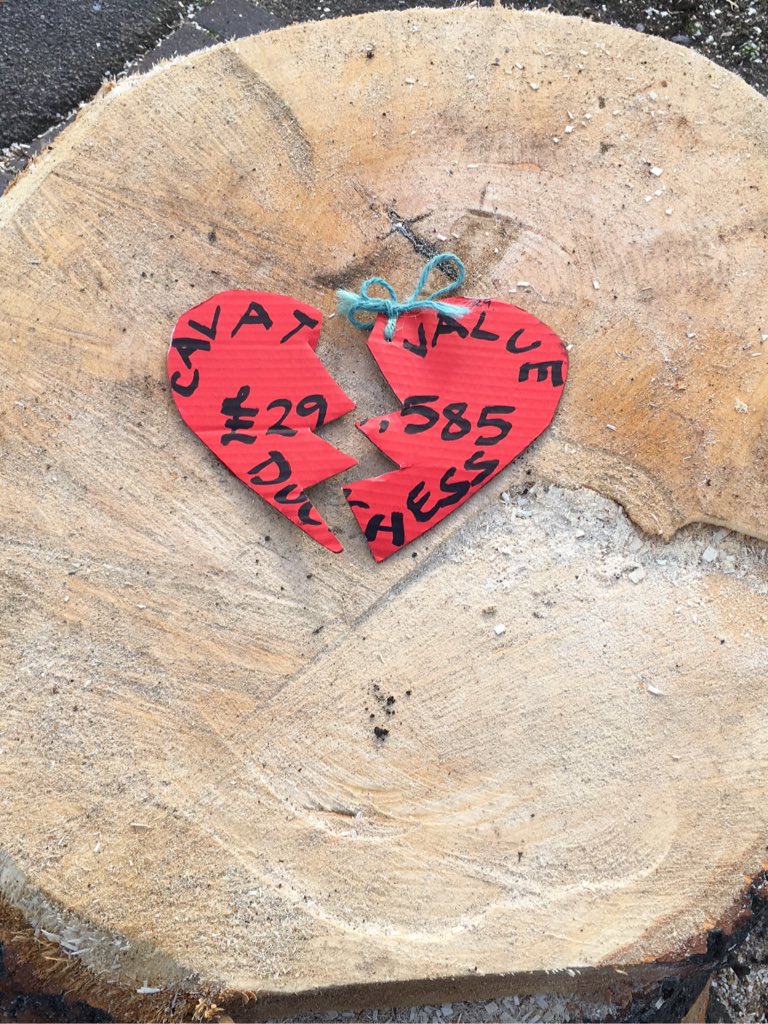 DuchessLime's tweet photo. This is all that’s left of beautiful me,this morning I had a CAVAT VALUE £29,585 now nothing. What a waste.I put up a good fight visit no 17 &amp; the evil guys got me #SaveSheffTrees. #theworldiswatching. Thanks for your support everyone it’s been a wonderful life albeit too short. https://t.co/Ia8HClNkQT