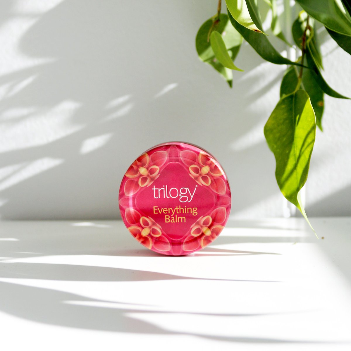 Trilogy Products tweet media