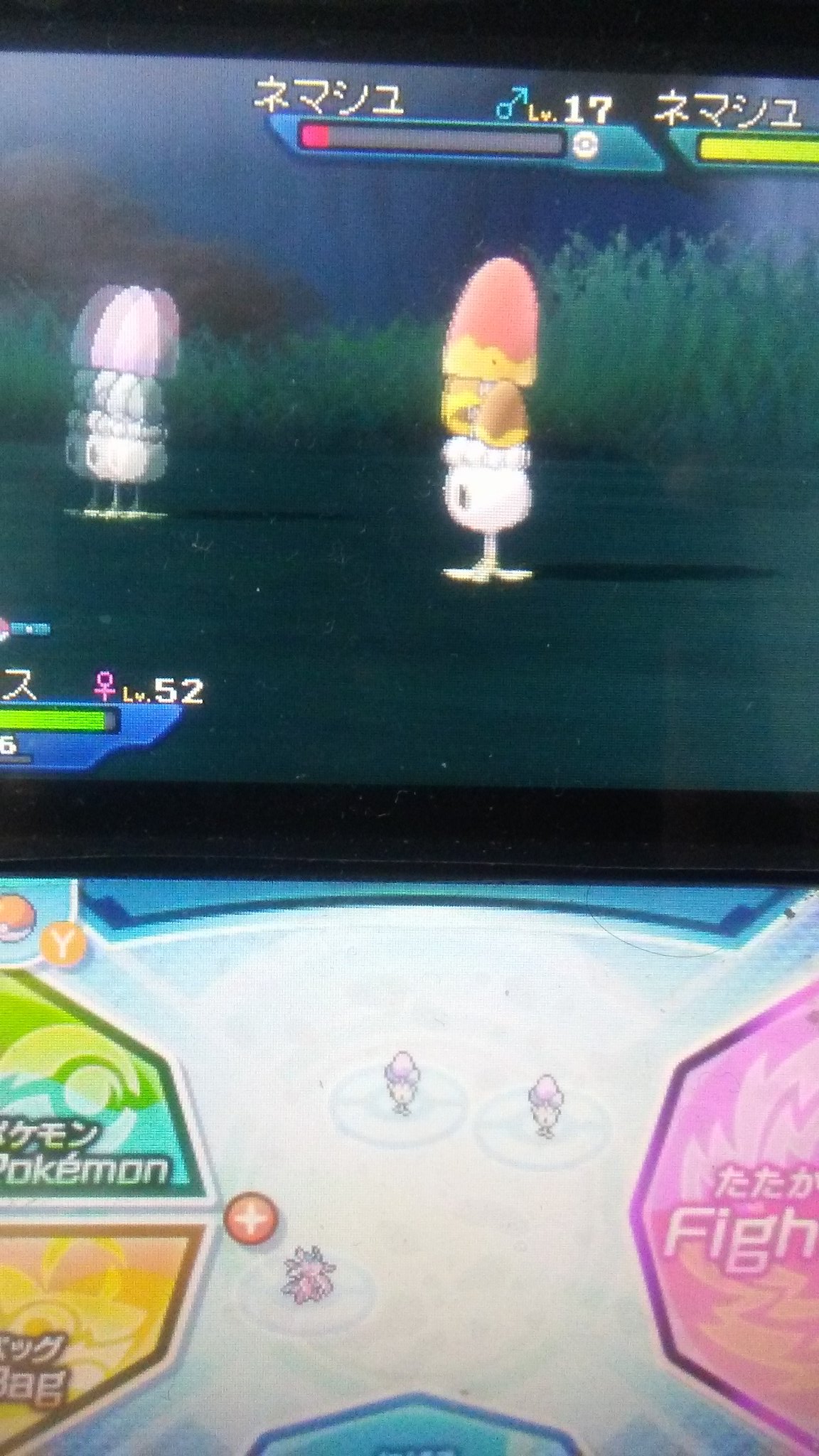 リナ 久しぶりにポケモンチェインをしてみました 今回のターゲットは ネマシュ でも チェインで出て来るのがちょっと早かったので 楽々だった ポケモンウルトラサン ウルトラムーン ポケモンウルトラサンムーン チェイン 色違いポケモン