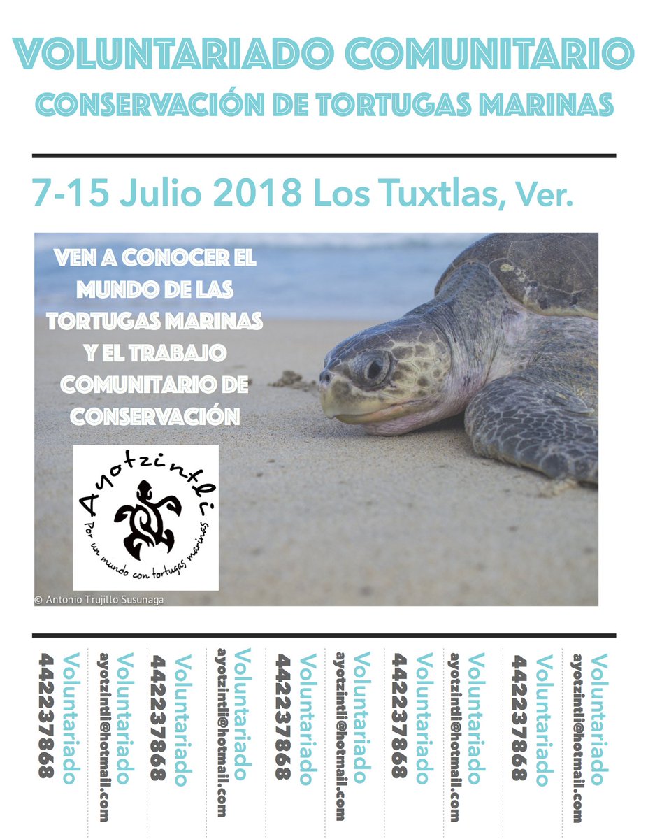 Vamos a tortuguear... Informes: ayotzintli@hotmail.com