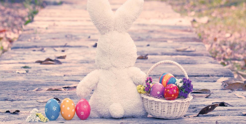 Burlington's tweet photo. Boring Easter basket? Not this year. Here are 4 awesome ideas to take your kids’ basket to the next level. https://t.co/L6C7gfXKYs https://t.co/0mcqkwMobo