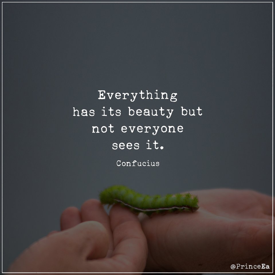 Great quote from Confucius., image size:960x960