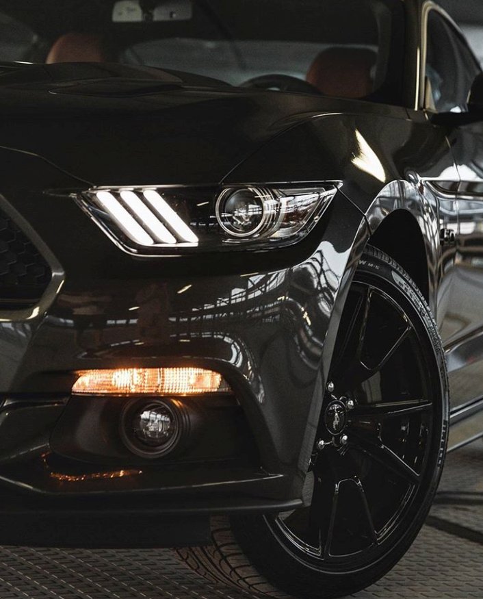 washington_ford's tweet photo. Feel the power of the Mustang at Washington Ford today! https://t.co/LcgJMfYmpe
