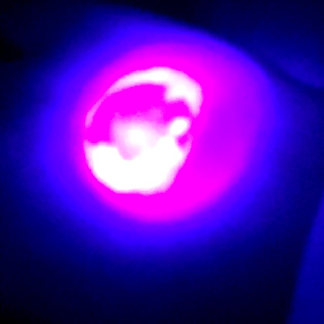 富士のももさん 21日にディズニー行った時 再入場で押してもらったスタンプ 気になりすぎて見てみたけどシルエットだけしか出てこない 大陸 誰かわかる人いませんかね ディズニーシー ディズニーリゾート