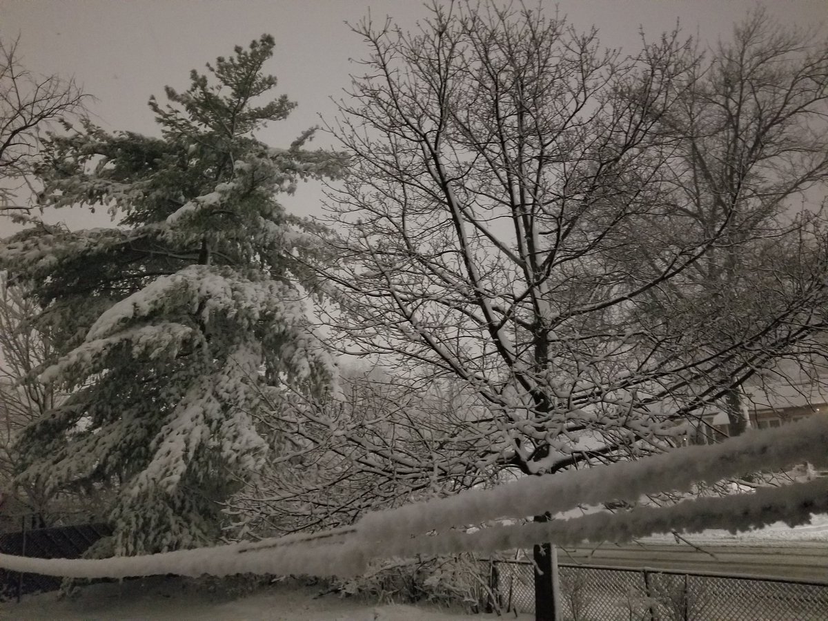 A little spring cotton in the form of snow. Location is Middle Village Queens