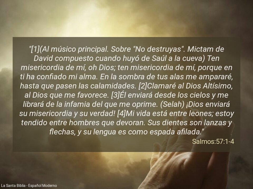 tuque1971's tweet photo. https://t.co/p4fgtluyXI