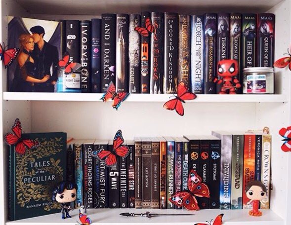 BestBooksStop1's tweet photo. "Some Books U Read
Some Books U enjoy
But Some Books Just Swallow U up
Heart &amp; Soul " 📕😍😘😉

#bestbooksstop  #OnlineBooksStore #FreeShippingWorldwide 

https://t.co/ZTddu61rnM https://t.co/o67PrTb7bb