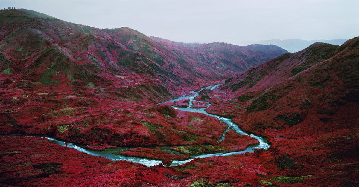 [Techno] Le retour de la Kodak Aerochrome via.photoreview.fr/mOU2C #photo
