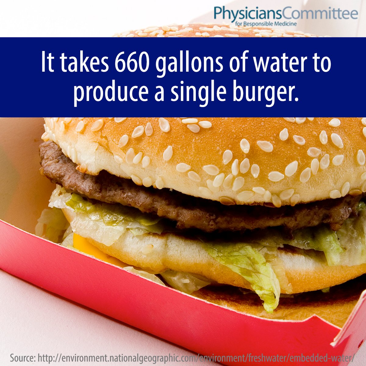 One simple way to conserve water? Eat vegan! Producing just 10 hamburgers requires the same amount of water as an entire year's worth of showers: goo.gl/snRMQC #WorldWaterDay