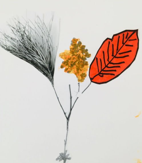 Città di Torino tweet media