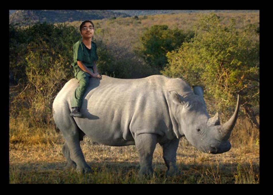 ManMythLegend42's tweet photo. Throwback Thursday to my dear friend the Northern White Rhino...🦏 https://t.co/j2eLpJrceu