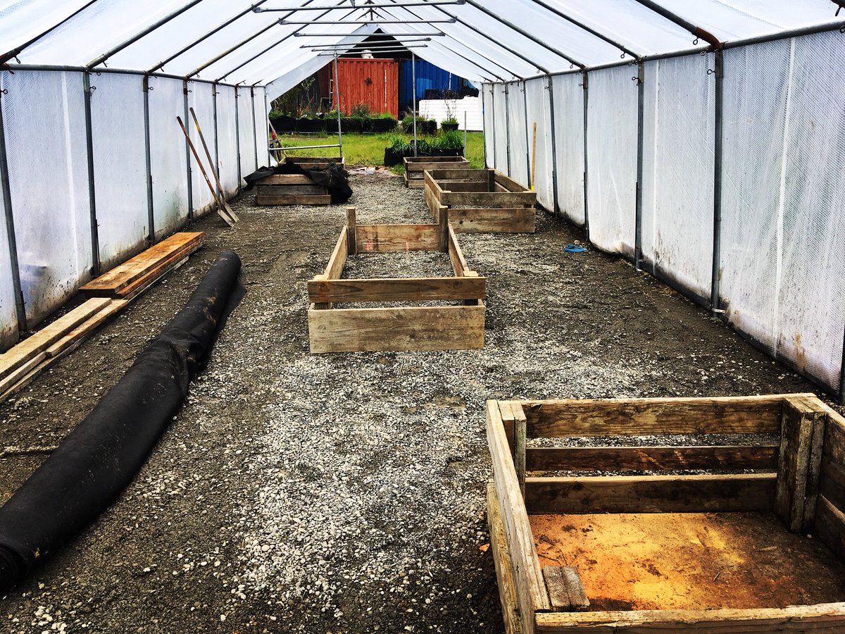 RoyalGoldSoil's tweet photo. Working on getting the research and development greenhouse back up and running. #alwaysgrowing #growmore #greenhouse #morefarms #morefood #royalgoldsoil #kingsmix #mendomix #tupur #basementmix #grow4thegold https://t.co/fvDs1prAxi