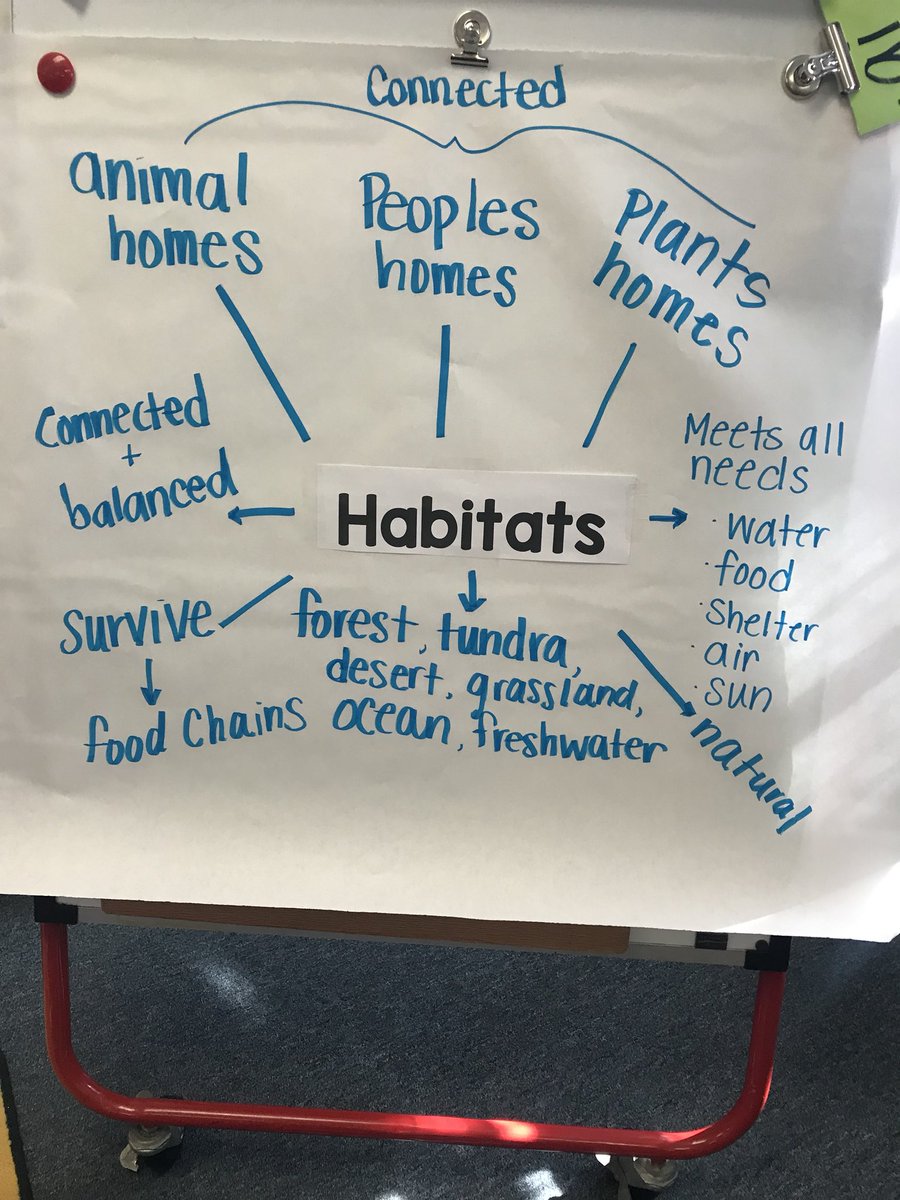 dduffy524's tweet photo. We have been exploring many lines of inquiry for our current planner, What An Impact. This week we’ve been focusing on habitats and interdependence. Now we are showing all that we have learned! #WeAreQuest https://t.co/cXUzKbfqEy