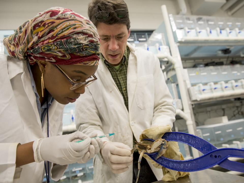 IMET_USMD's tweet image. It's March 22 and there are only 22 days until the application deadline for our summer internship. Spend your summer with us; apply now: ow.ly/YiOA30j6rBd #intern #internship #summer #science #Baltimore #Maryland