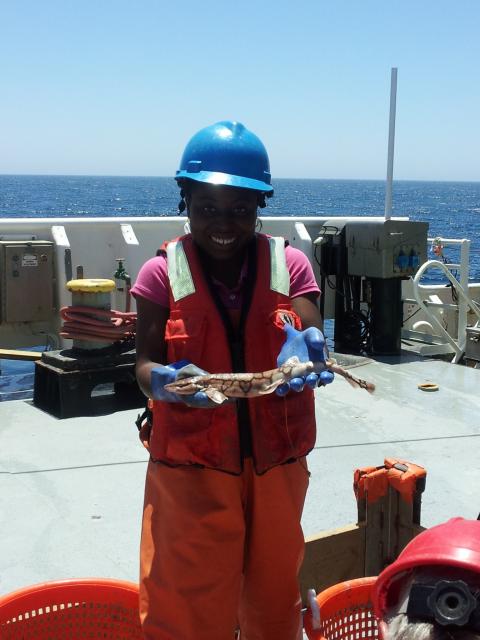 IMET_USMD's tweet image. It's March 22 and there are only 22 days until the application deadline for our summer internship. Spend your summer with us; apply now: ow.ly/YiOA30j6rBd #intern #internship #summer #science #Baltimore #Maryland