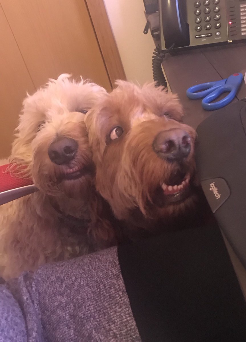 DoodleKushman's tweet photo. Two headed doodle love. https://t.co/II2qcef0tC
