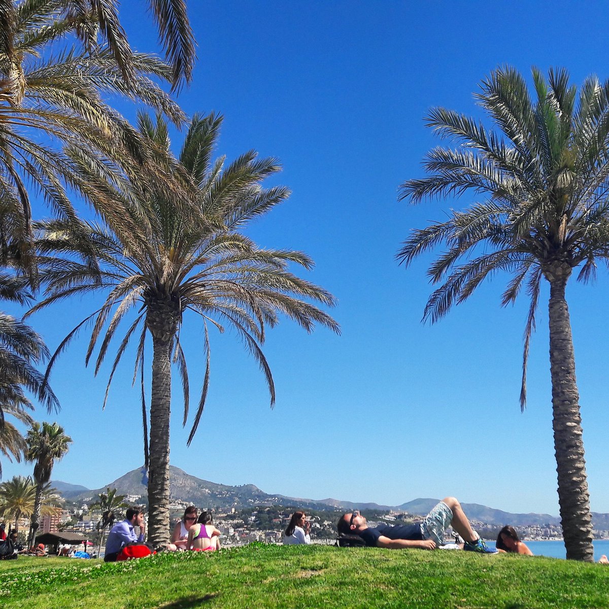 MalagaTrips's tweet photo. Welcome Sun! 🌞🌞🌞We're glad you are here!  #Malagatrips #malaga #spain #sunnydays #welcomesun #costadelsol #andalucia https://t.co/fQhhTuuRBR