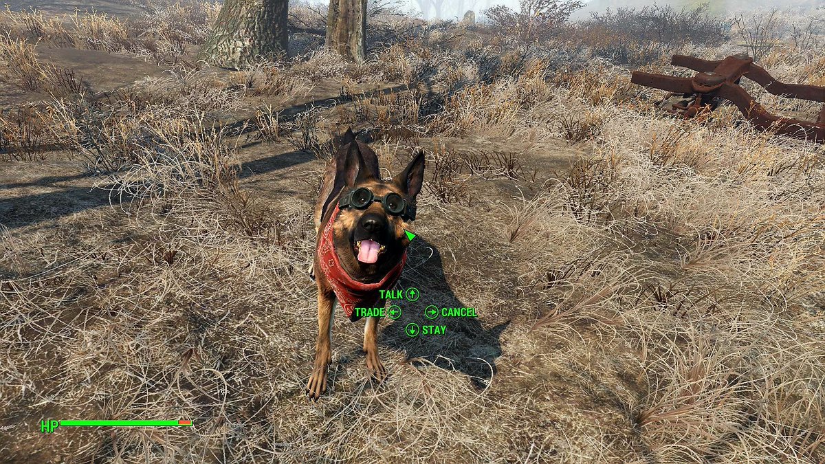 Fallout 4 псина баг фото 17