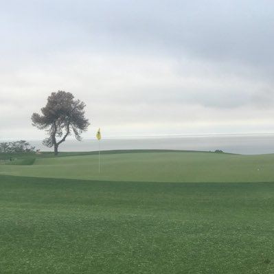 #TorreyPines