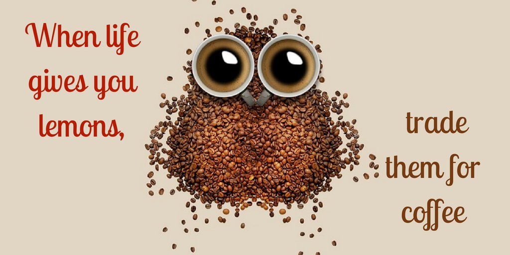 KoffeeLand tweet media