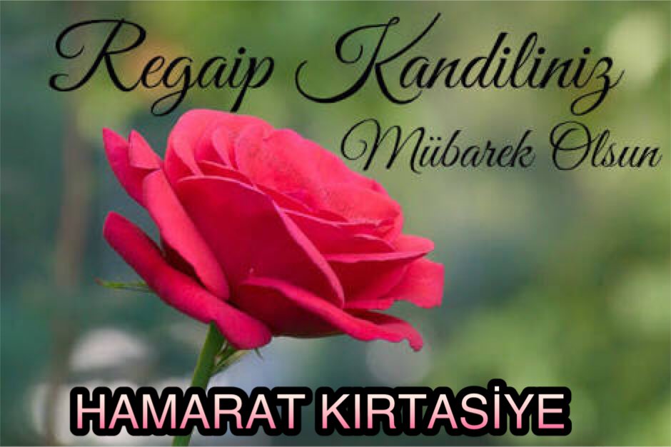 Şükrü Hamarat (@ashamarat) on Twitter photo 