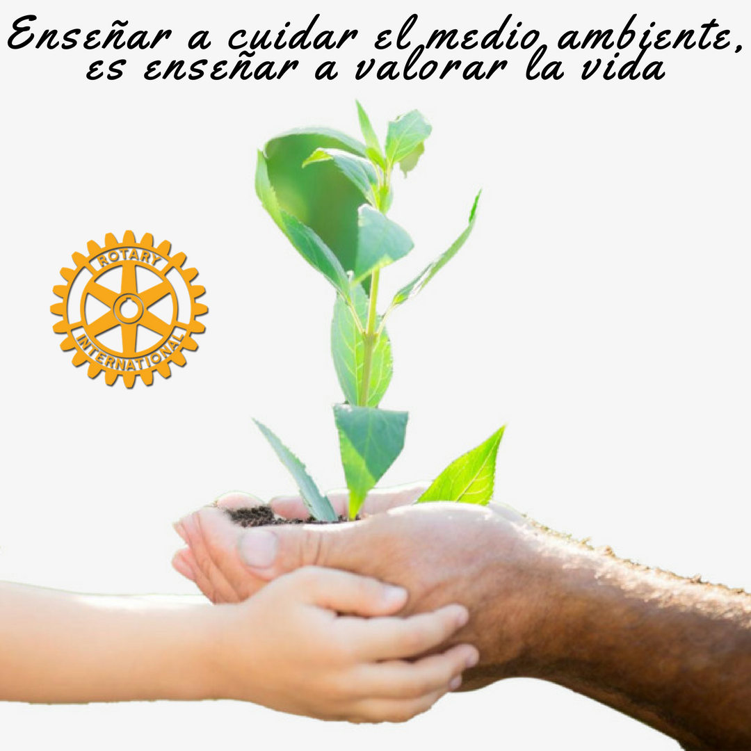 ¡Siembra esperanza para el futuro!
#Rescata #MundoVerdeYFeliz #PiensaVerde #AprendoConRotary #FormandoBuenosCiudadanos