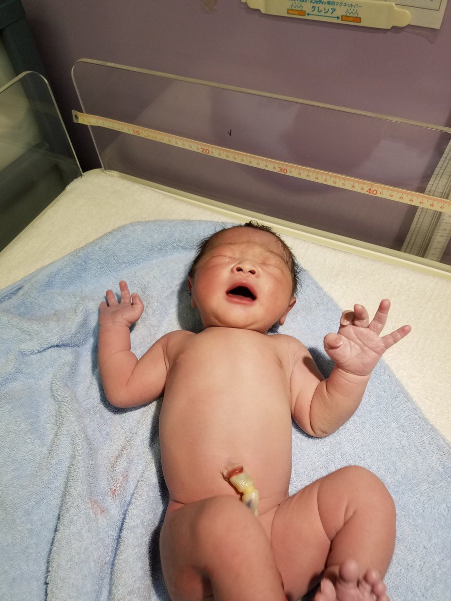 a_1442_aa's tweet photo. 元気な男の子が産まれました！
母子ともに元気でなにより！
貴重な瞬間に立ち会えてよかった
これから遊び控えます！わら https://t.co/sce2cJZdRV