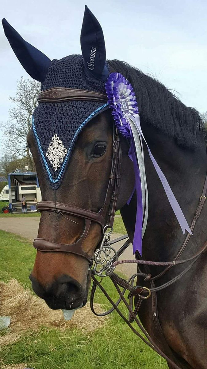 KS_MersleyStud's tweet photo. Great to see Mersley Deanna &amp; Phoebe Ewens back on top competition form - jumping double clear &amp; finishing 3rd in the Members Cup Class at Netley Hall yesterday. Love seeing our horses out &amp; about
#forelockandfringe #PonyHour #247equestrian #stylereins #HorseBloggers #HorseHour https://t.co/NYXskpjeyE