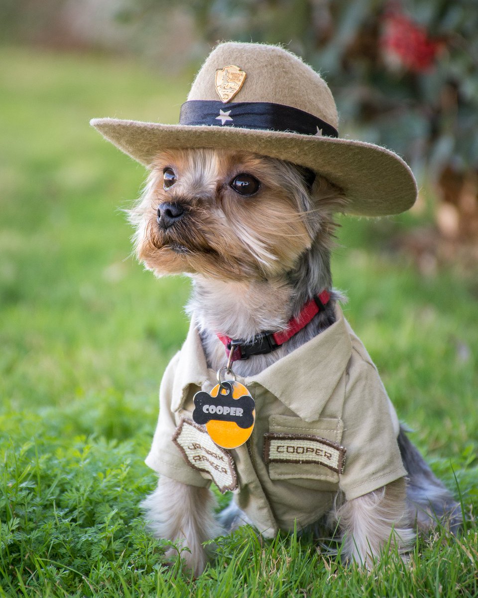 Interior's tweet photo. Take a paws 🐾 and check out these programs at Interior that rely on man’s best friend 🐶: https://t.co/y4tA6Md9M6 #TheyreGoodDogs https://t.co/zEF9bIEjKs