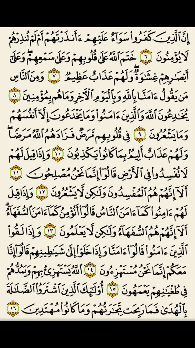 _nouf_19's tweet photo. #اليوم_العالمي_لشاورما https://t.co/ZWA4F6A5JD