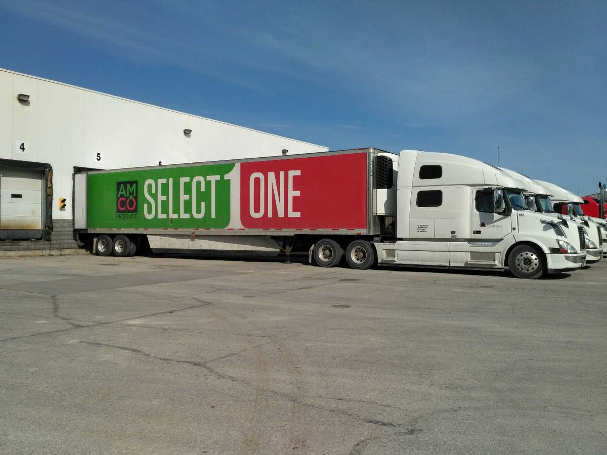 Install underway <a href="/AMCOPRODUCE/">AMCO Select One™</a> in #Leamington of #Vineland's mini-cuke packer #innovation #automation #technology #horticulture