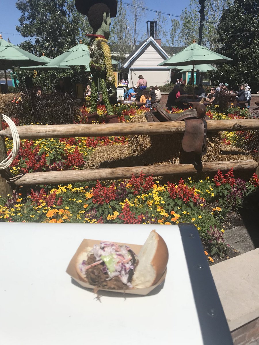 WDWPlainCrazy's tweet image. Making Josh of the @thewdwcouple proud! #TrashCanTry #ItsClean #Epcot