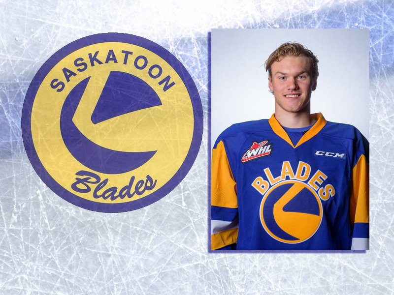 Shmyr Joins Fiala as Blades Graduates in East Coast League dlvr.it/QM2Lkw https://t.co/Le7rUtZVtL