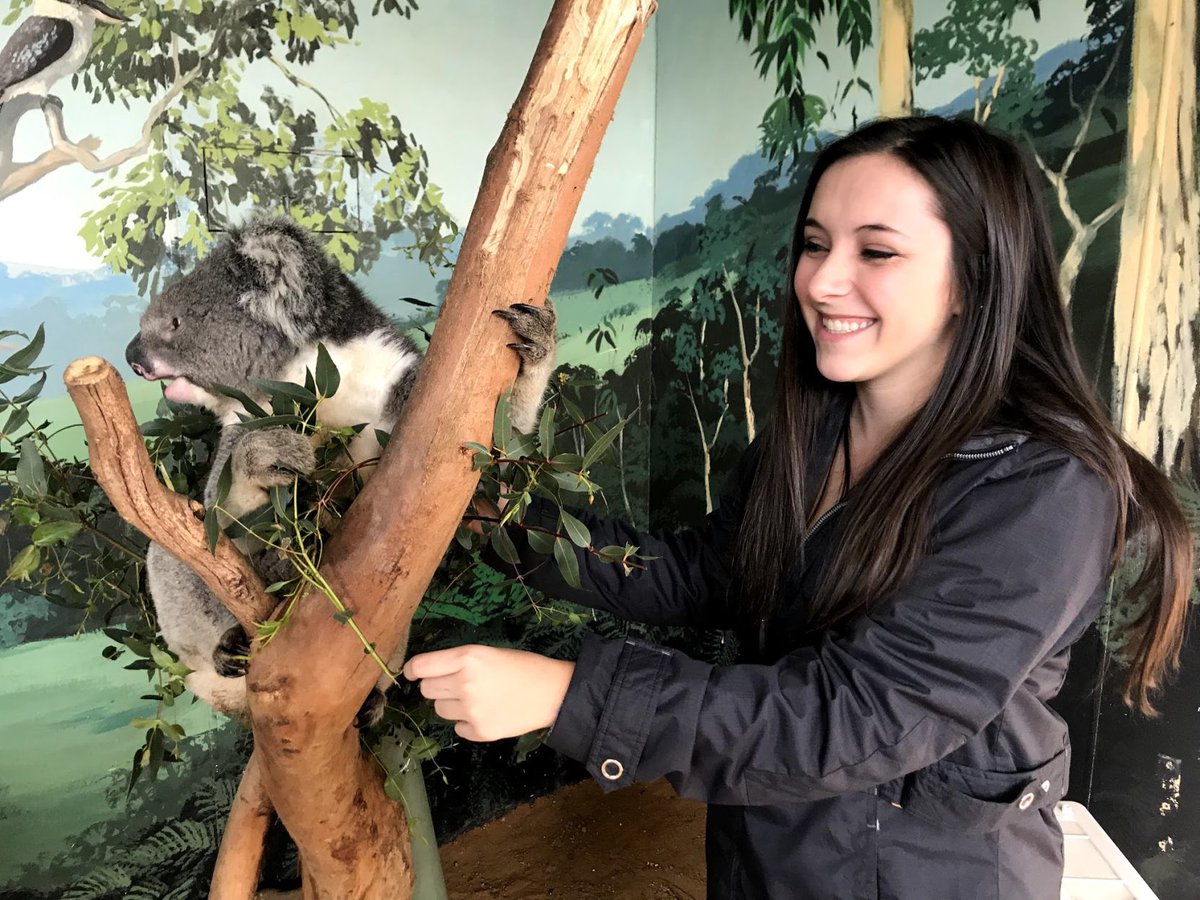 TheSunChronicle's tweet image. .#Mansfield resident &amp;amp; #WorcesterPolytechnic spent time in Australia studying the teaching of fire safety. @SCMansfield