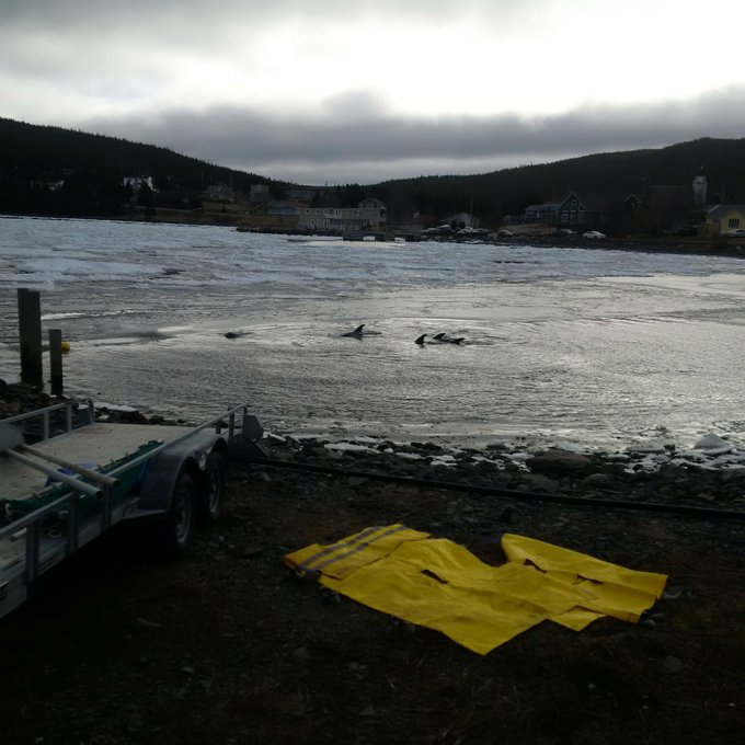 View image on Twitter