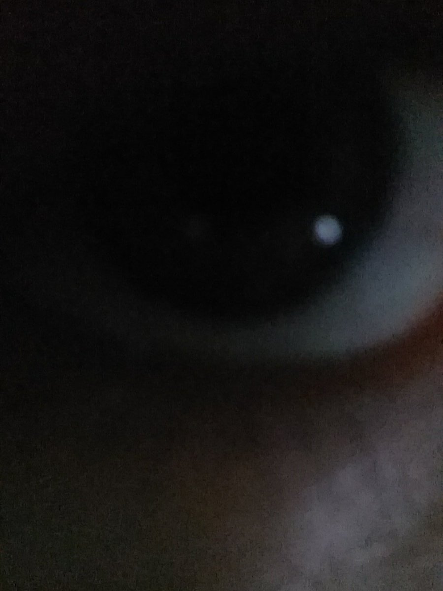 eybaly's tweet image. I'm scared.