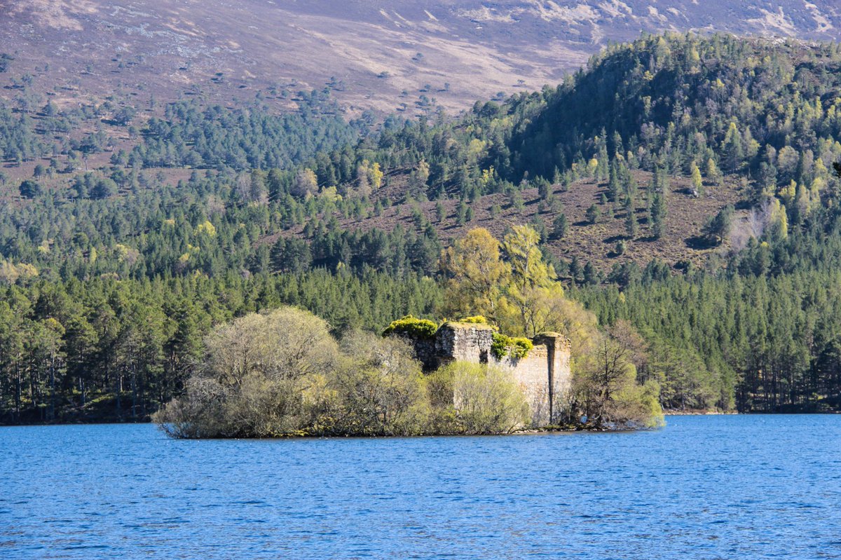 fibiii91's tweet photo. Loch an Eilein in Scotland 🍀 a lake with old castle remains in it 🏴󠁧󠁢󠁳󠁣󠁴󠁿 @VisitScotland @cairngormsnews @VisitCairngrms https://t.co/KNQVIRY0fP