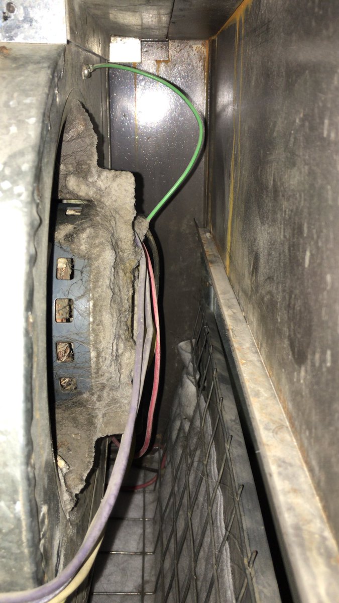 This client’s #furnace is wearing a #furcoat 😲 Time for a #furnacecleaning &amp; #ductcleaning #reddeer