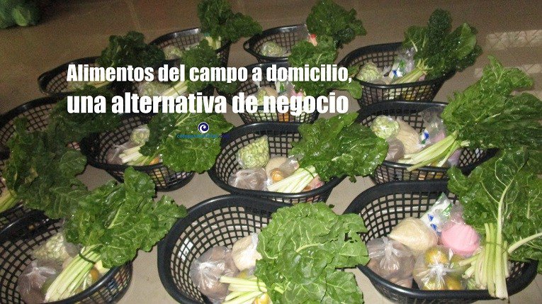 CotopaxiNoticia's tweet photo. Una iniciativa privada promueve el comercio “justo” entre pequeños productores y consumidores https://t.co/LnKsP2rhZH https://t.co/64WsKEC6Qv