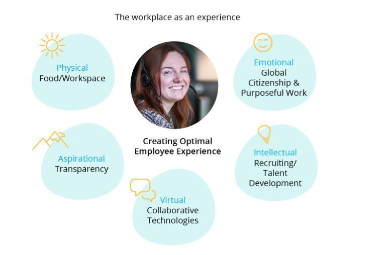 t0nyh0ran's tweet photo. The Anatomy of an Employee Experience – Refining Today's Workplace: https://t.co/OOIMvzfM63 #HR https://t.co/kK0TnOTL3Y