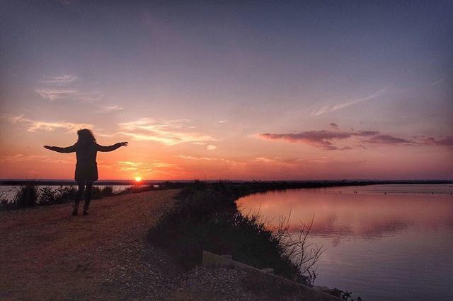 El viaje mehizo a mí tweet media