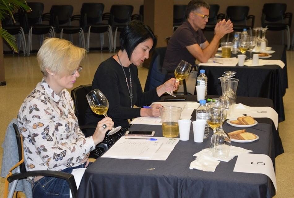 1️⃣️3️⃣ #Bodegas de toda Gran Canaria con un total de 22 muestras de la cosecha del 2017 se presentaron a la XIV Cata Insular de #Vinos de #Valsequillo 🍷🍷 cuyo resultado se conocerá este fin de semana.

saboreandocanarias.com/2018/03/22/13-…