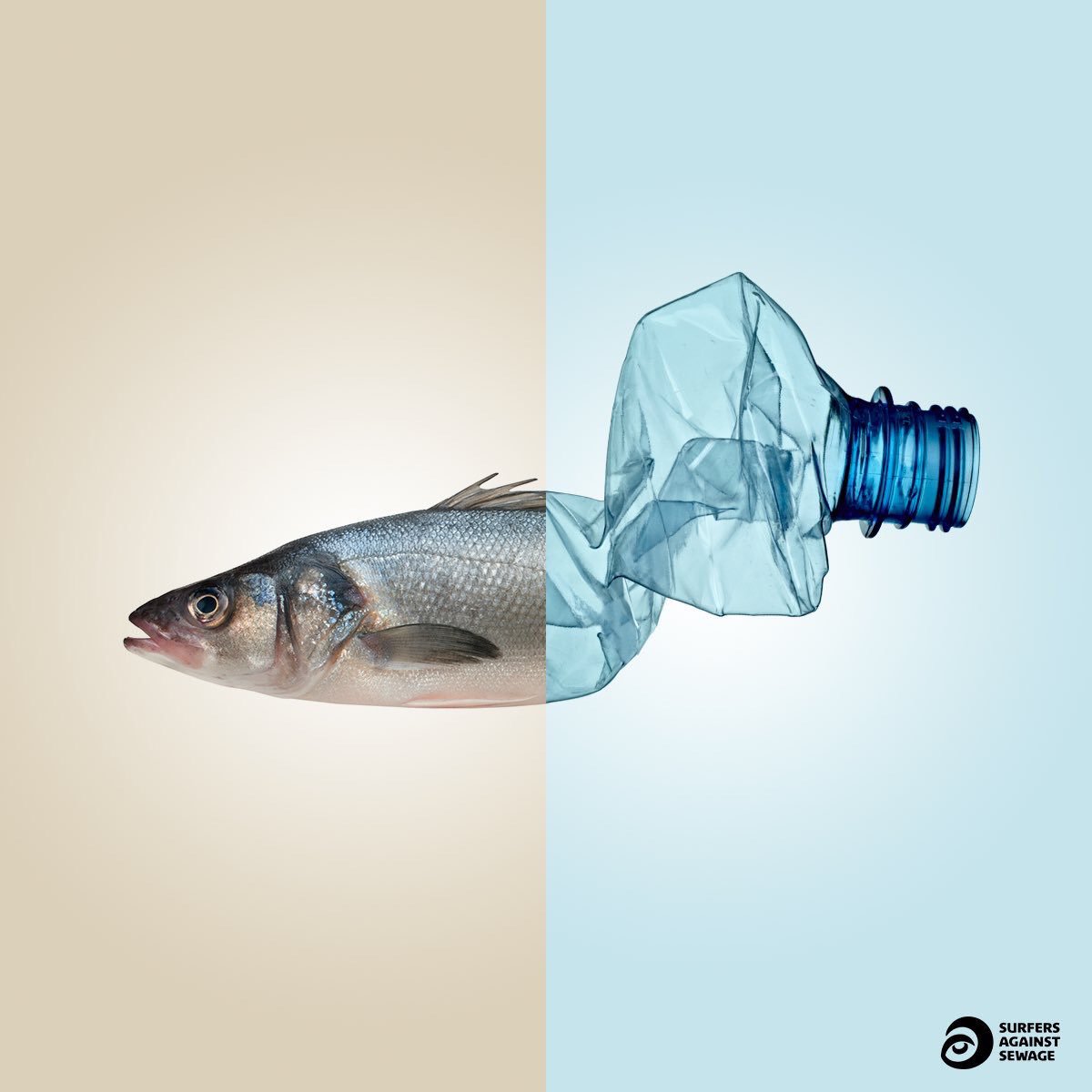 HugoSAS's tweet image. Stop Plastic Pollution. RT if you support @sascampaigns calls for a UK-wide deposit return system on bottles &amp;amp; cans. #plasticfreecoastlines #surfersagainstsewage