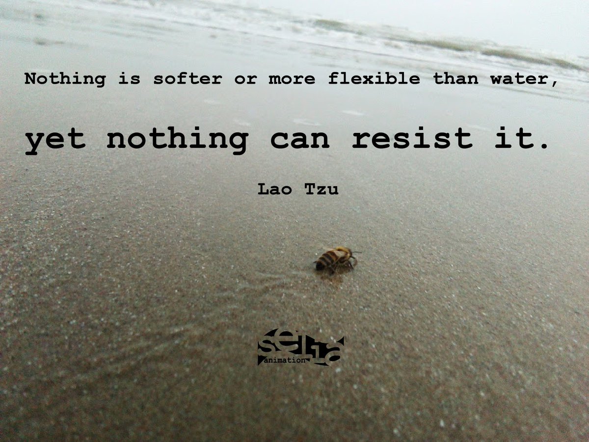 Sembie2's tweet image. #bee #water #quote #selia #selianimation