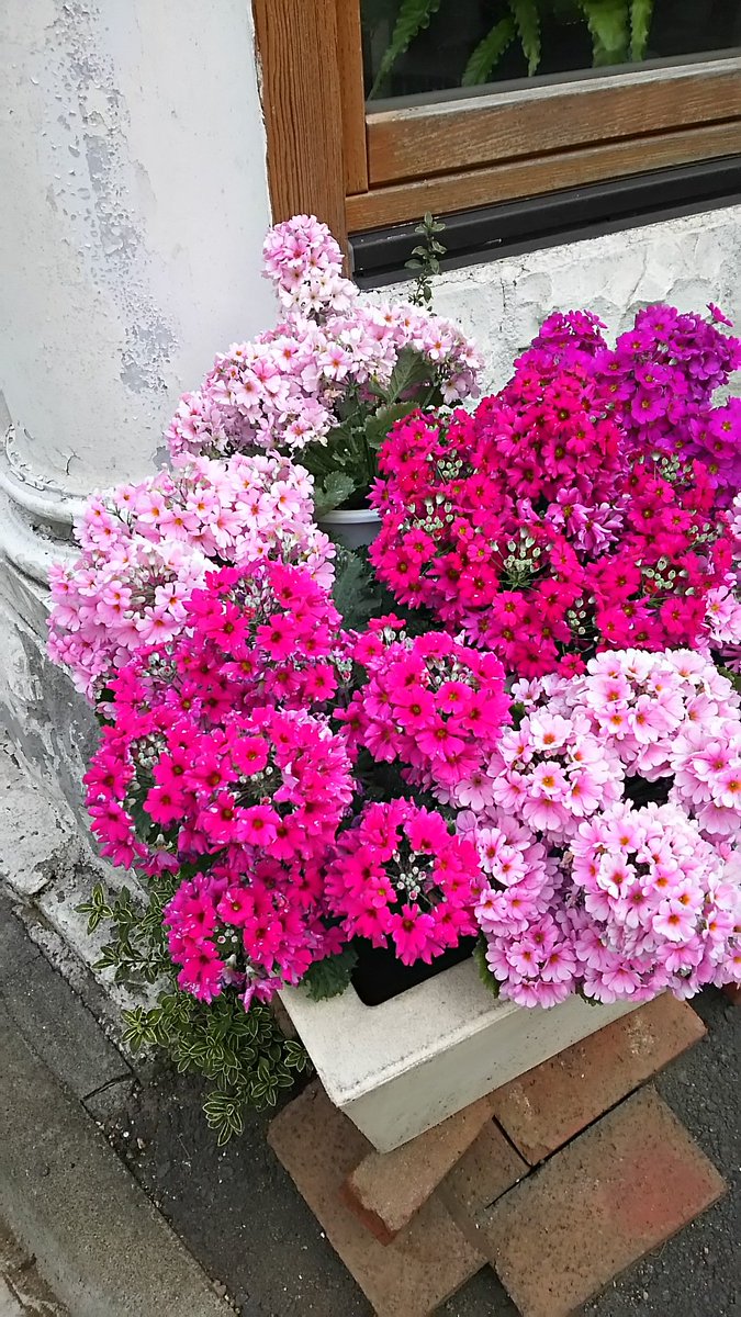 代々木上原 青山の花市場 Air Twitter 代々木上原 青山の花市場 Air Twitter