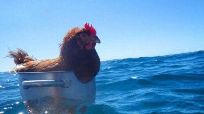 FunnyQuotees's tweet photo. when your life is aimless and you have no passion or big ambitions and ur depressed af but still tryna act chill and go with the flow https://t.co/nmJDcAkhoS