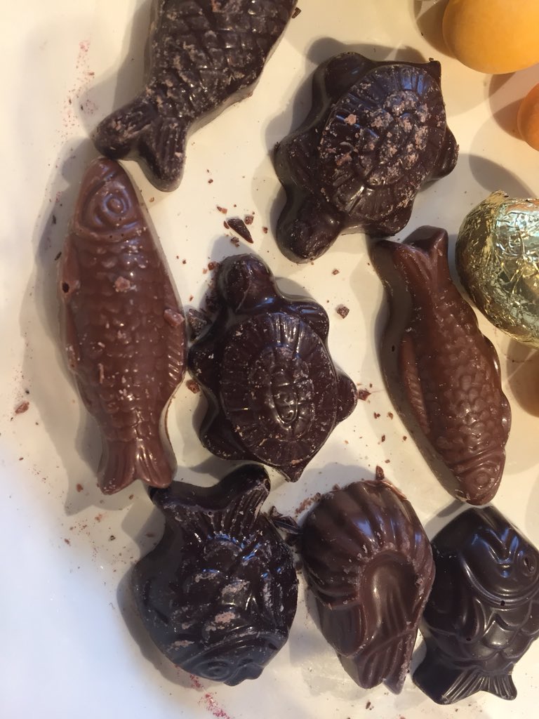 AudePocchiola's tweet photo. naissance d’un élevage de poussins, #vertcitron c’est trop bon et vous que préférez vous?.i ❤️ la@friture https://t.co/yCk3gb8Eoh