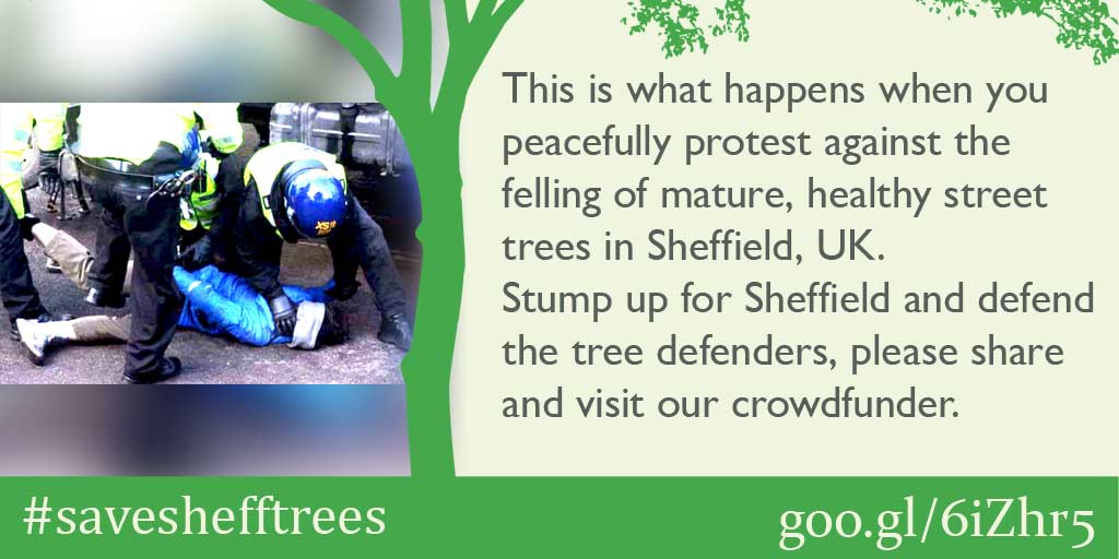 nostumpcity's tweet photo. STUMP UP SHEFFIELD and DEFEND the tree defenders. Sheffield City Council is gouging £27,000 in legal costs from two Sheffield residents for protesting the removal of healthy street trees. #saveshefftrees pls RT: https://t.co/fKPLbW826E https://t.co/Uri3NePivk