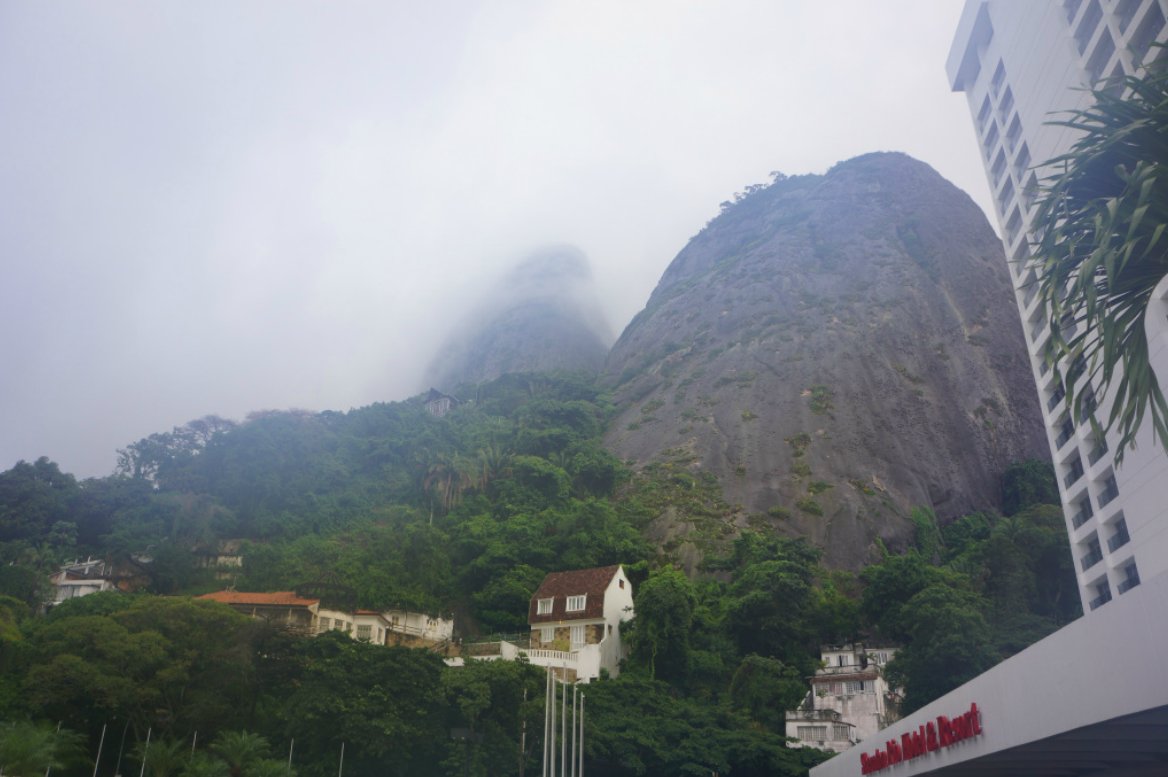 taherChefTeam's tweet photo. #TBT to the misty jungles of Brazil. https://t.co/PiC7QUzDoI